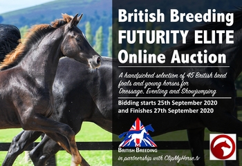 AN ONLINE AUCTION WITH A DIFFERENCE
